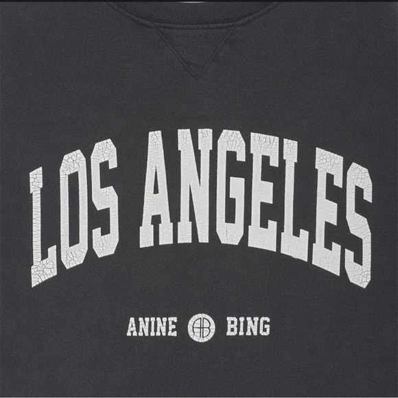 Anine Bing Ramona Los Angeles Sweatshirt in Washed Black VARIOUS SIZES - Picture 4 of 10